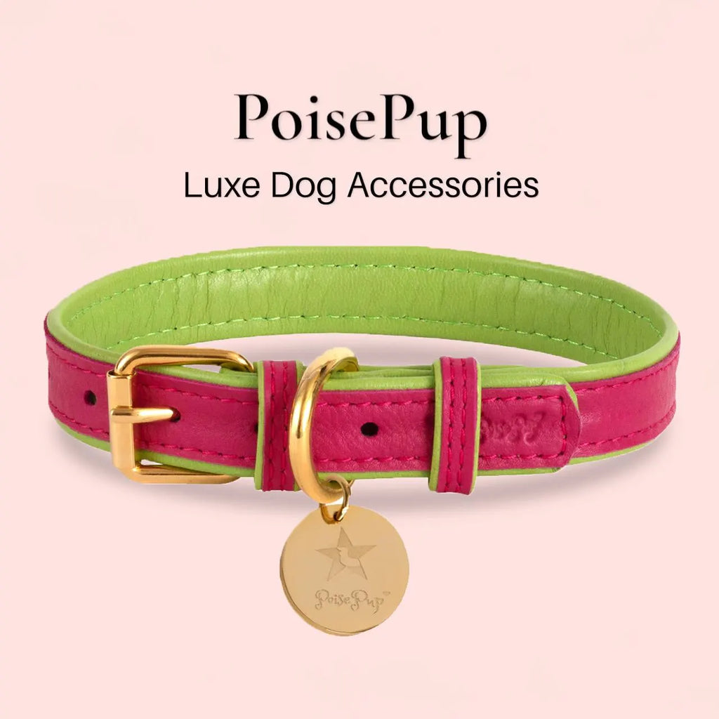Handcrafted Leather Dog Collar