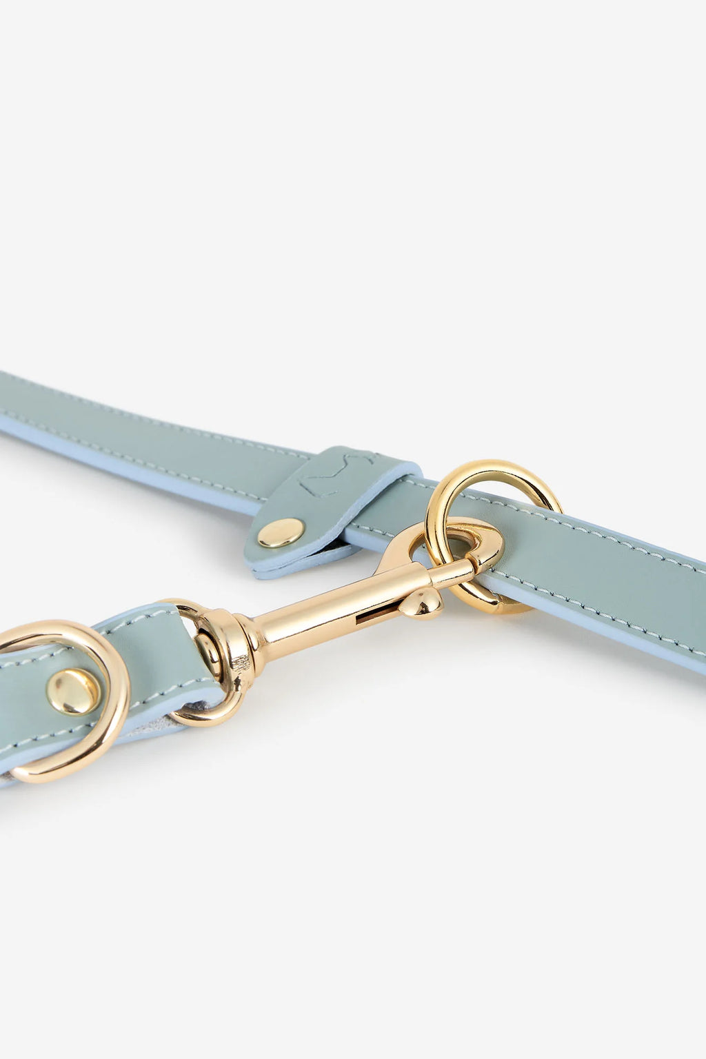 Sky Blue Leather Nara Dog Lead