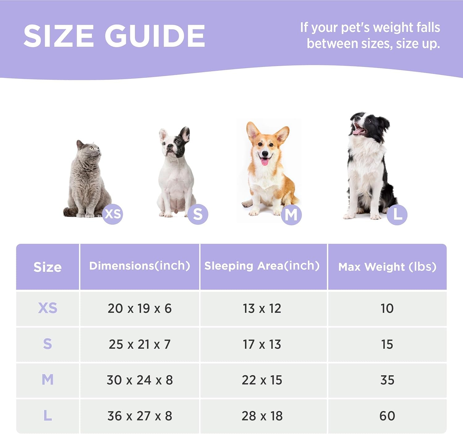Cute Dog Bed for Small Dogs - Washable Puppy Beds,Cozy Rectangle Orthopedic Pet Sofa with Jacquard Shaggy Plush & anti Slip Bottom,25X21X7Inches