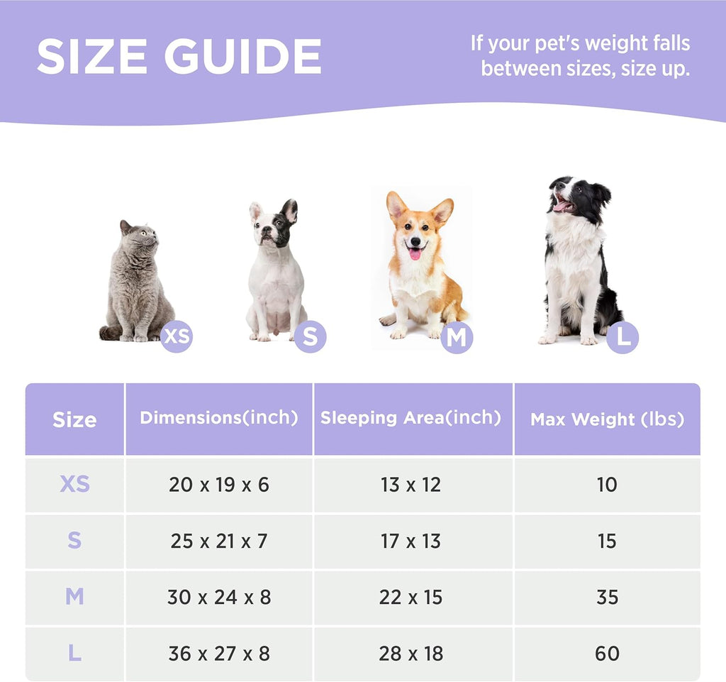 Cute Dog Bed for Small Dogs - Washable Puppy Beds,Cozy Rectangle Orthopedic Pet Sofa with Jacquard Shaggy Plush & anti Slip Bottom,25X21X7Inches