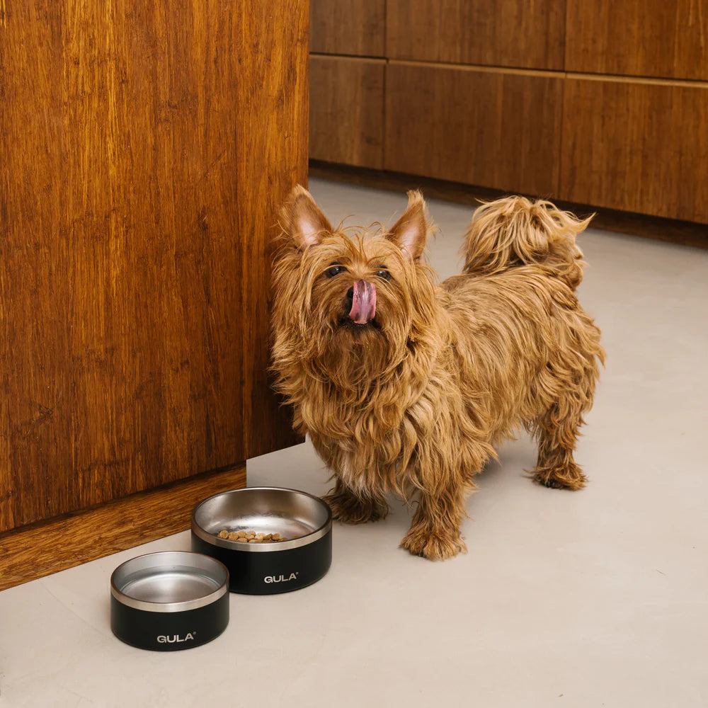 Dog Bowl - Black Stainless Steel