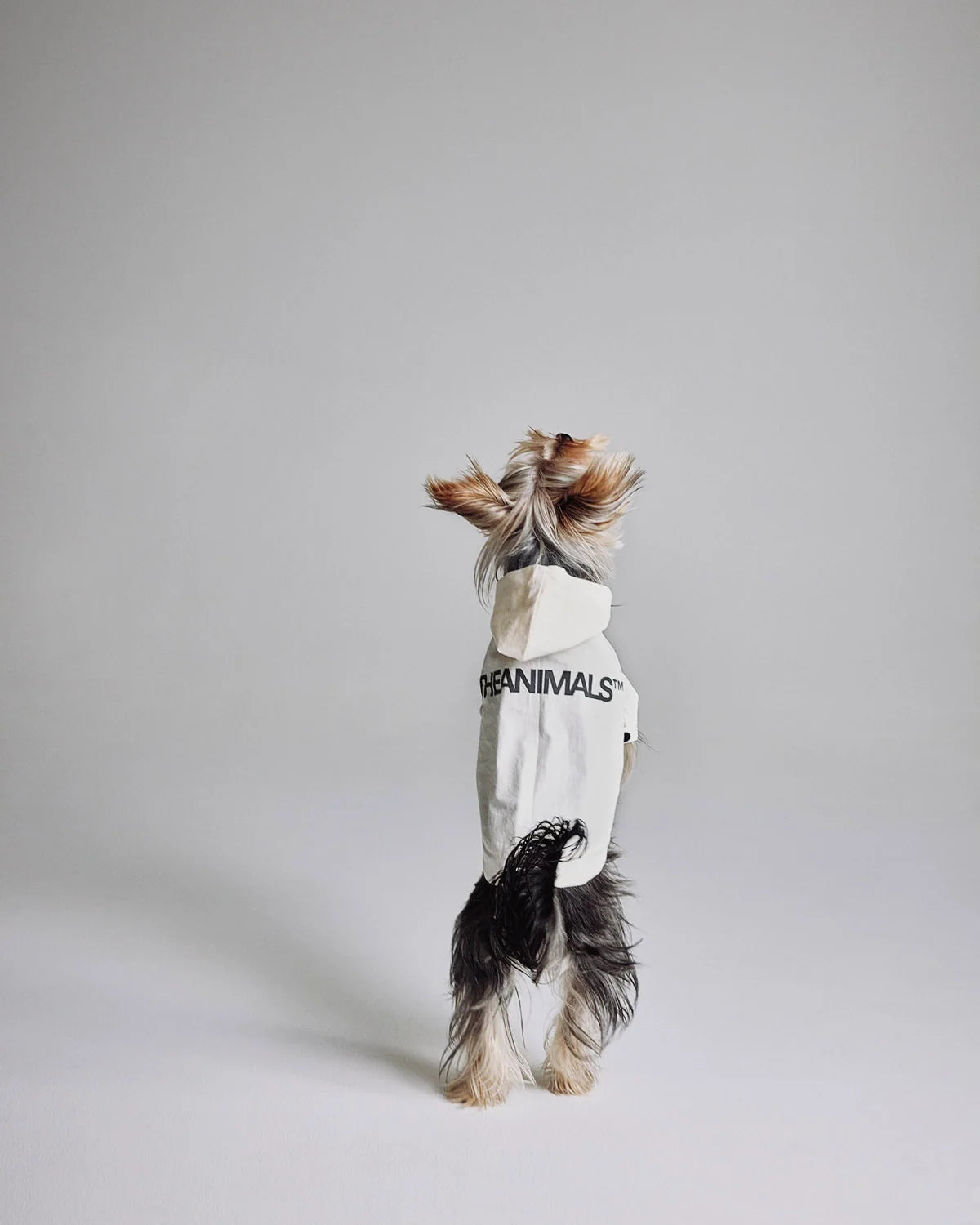 Logo Light Dog Coat - OYSTER