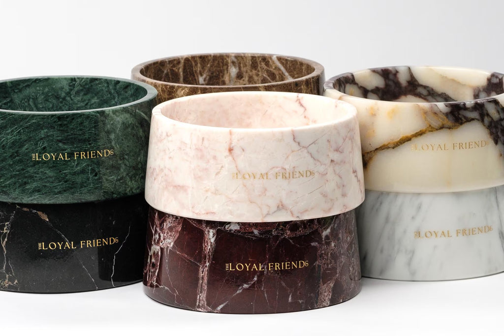 Portoro Gold Marble Pet Bowl: Luxury Dog Bowl