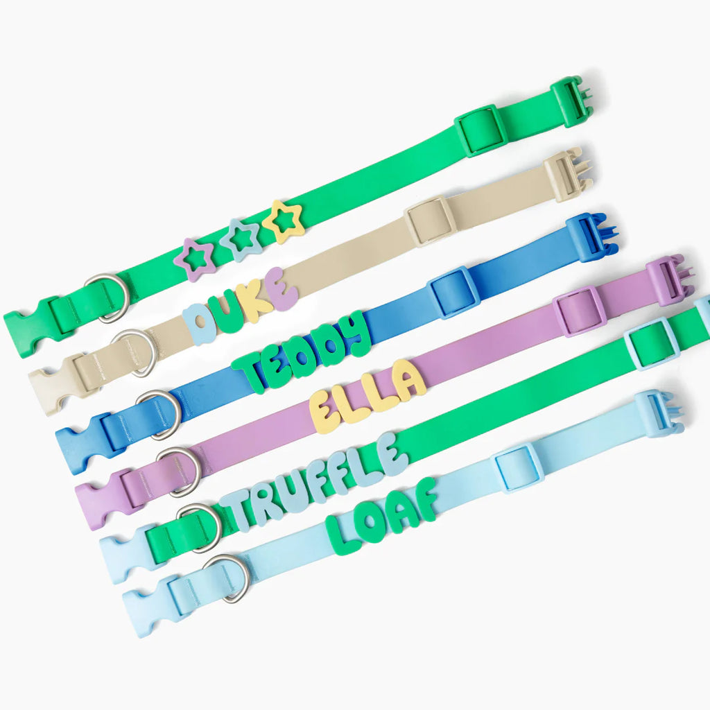 Waterproof Dog Leash + Collar Set