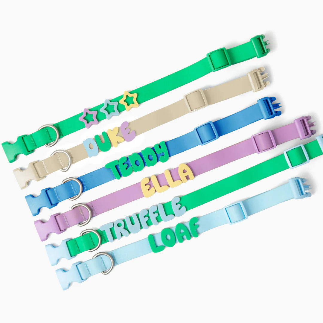 Waterproof Dog Leash + Collar Set