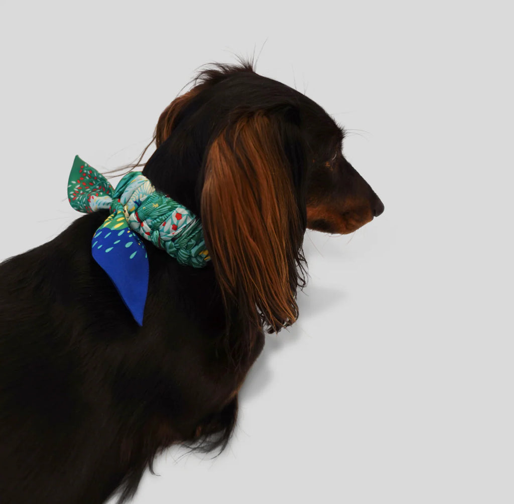 Dog Collar Twilly Emerald Phantasia