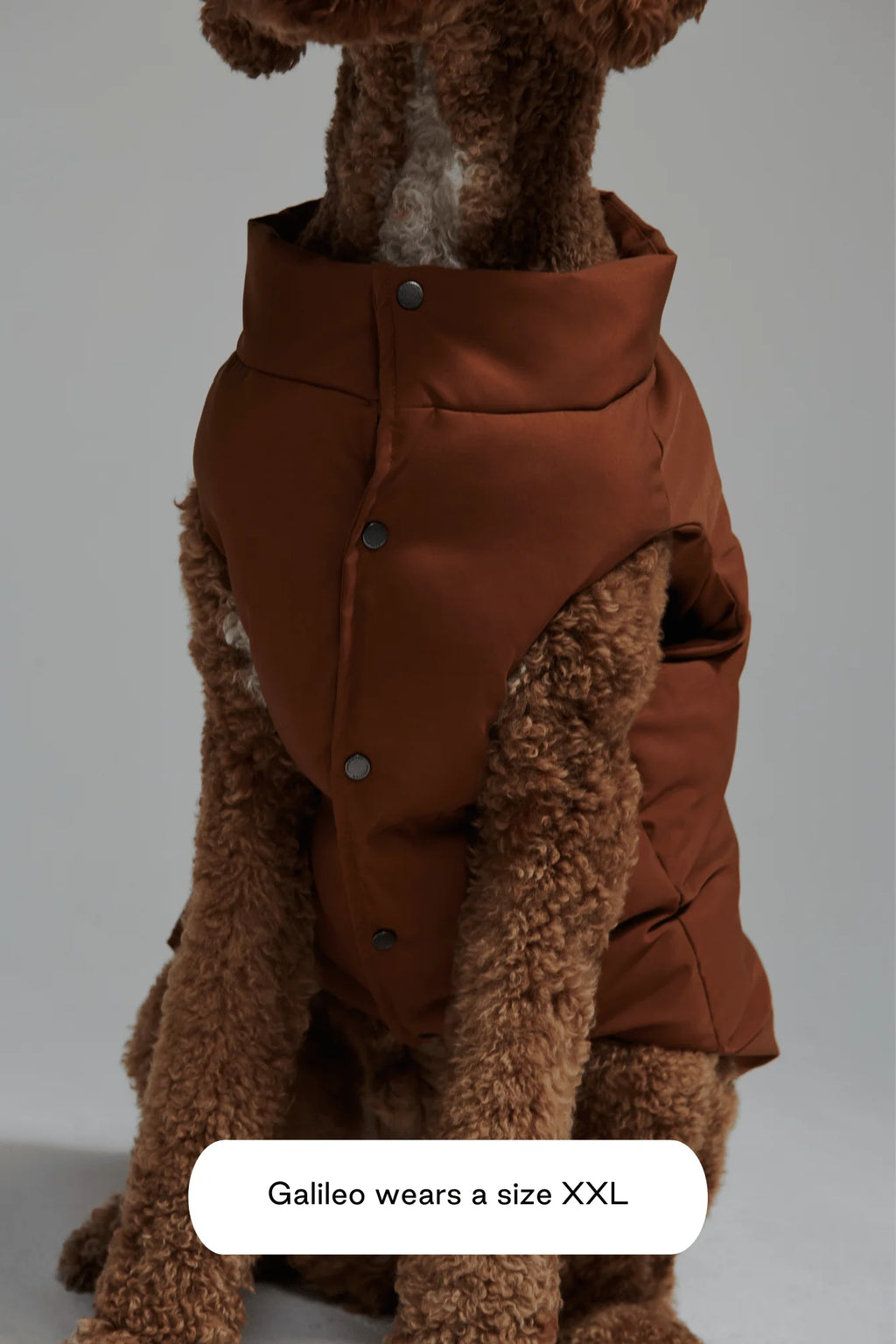 Arabella Puffer Vest