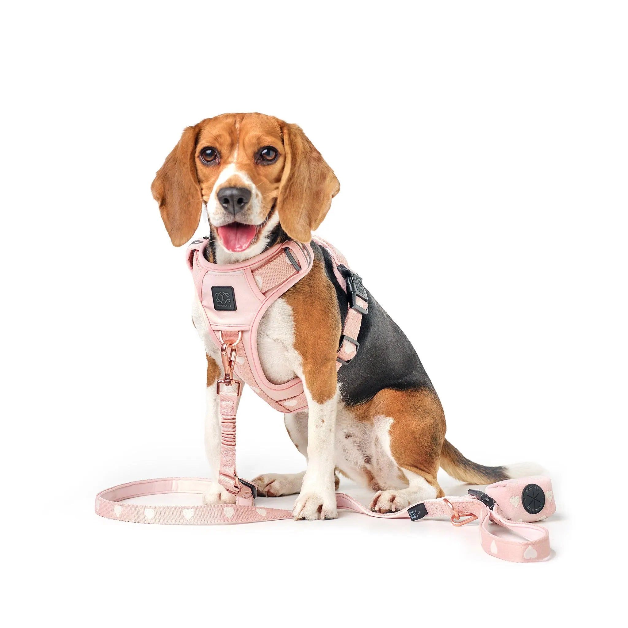 Nomad Adjustable Dog Walking Set - Sweetheart