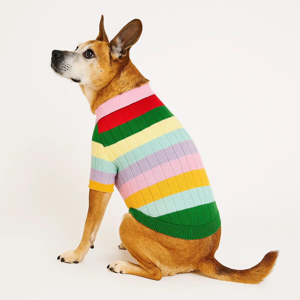 Rainbow Sweater
