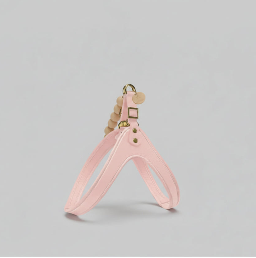 Handmade Genuine Leather Harness with Easy-Release Buckle