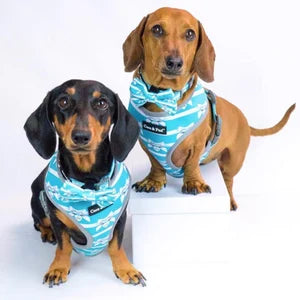Coco & Pud Audrey Reversible Dog Harness