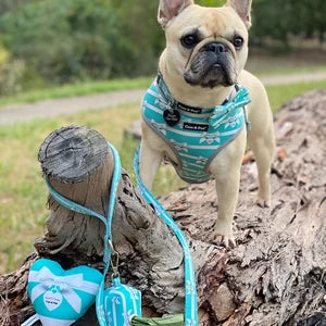 Coco & Pud Audrey Reversible Dog Harness