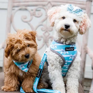 Coco & Pud Audrey Reversible Dog Harness