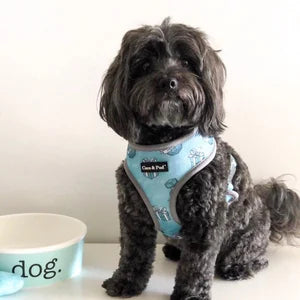 Coco & Pud Audrey Reversible Dog Harness