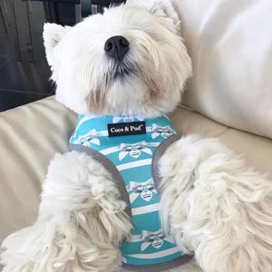 Coco & Pud Audrey Reversible Dog Harness