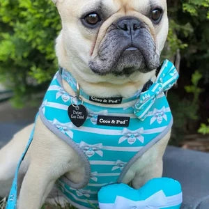 Coco & Pud Audrey Reversible Dog Harness