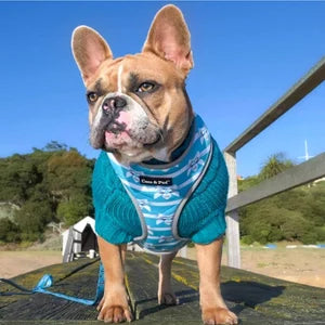 Coco & Pud Audrey Reversible Dog Harness