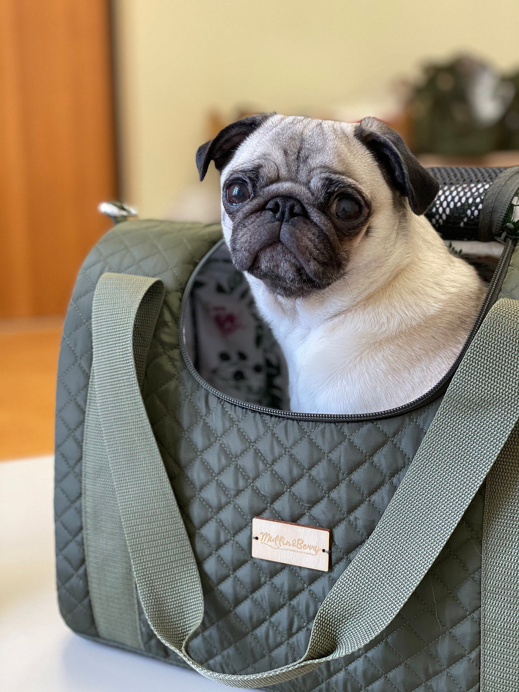 Enclosed Travel Pet Carrier with Waterproof Base