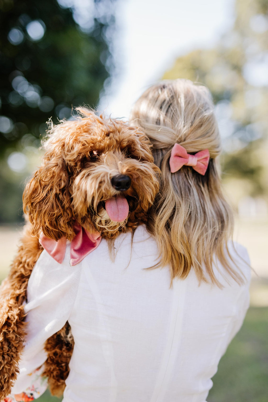 Velvet Bow Collar Set