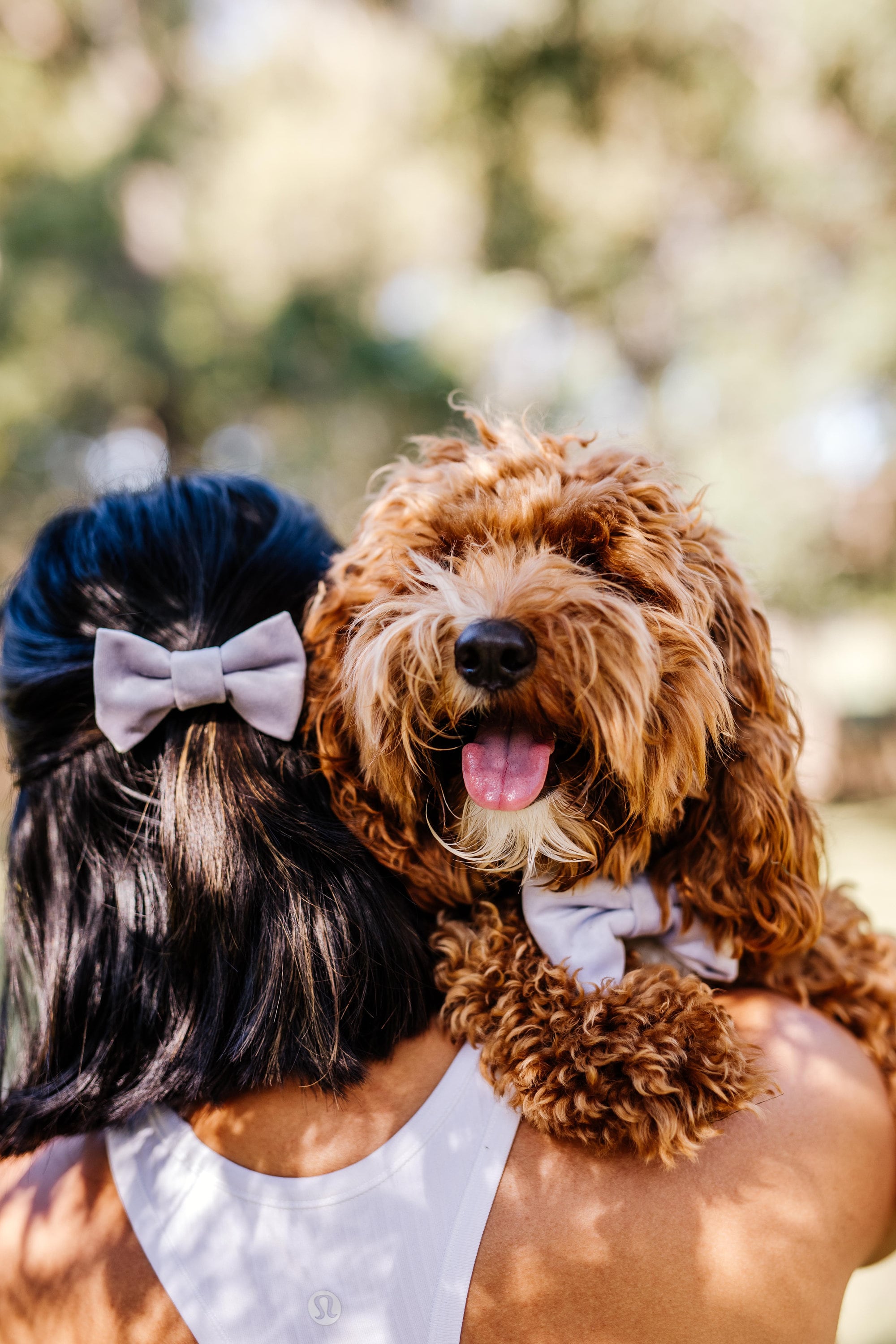 Velvet Bow Collar Set