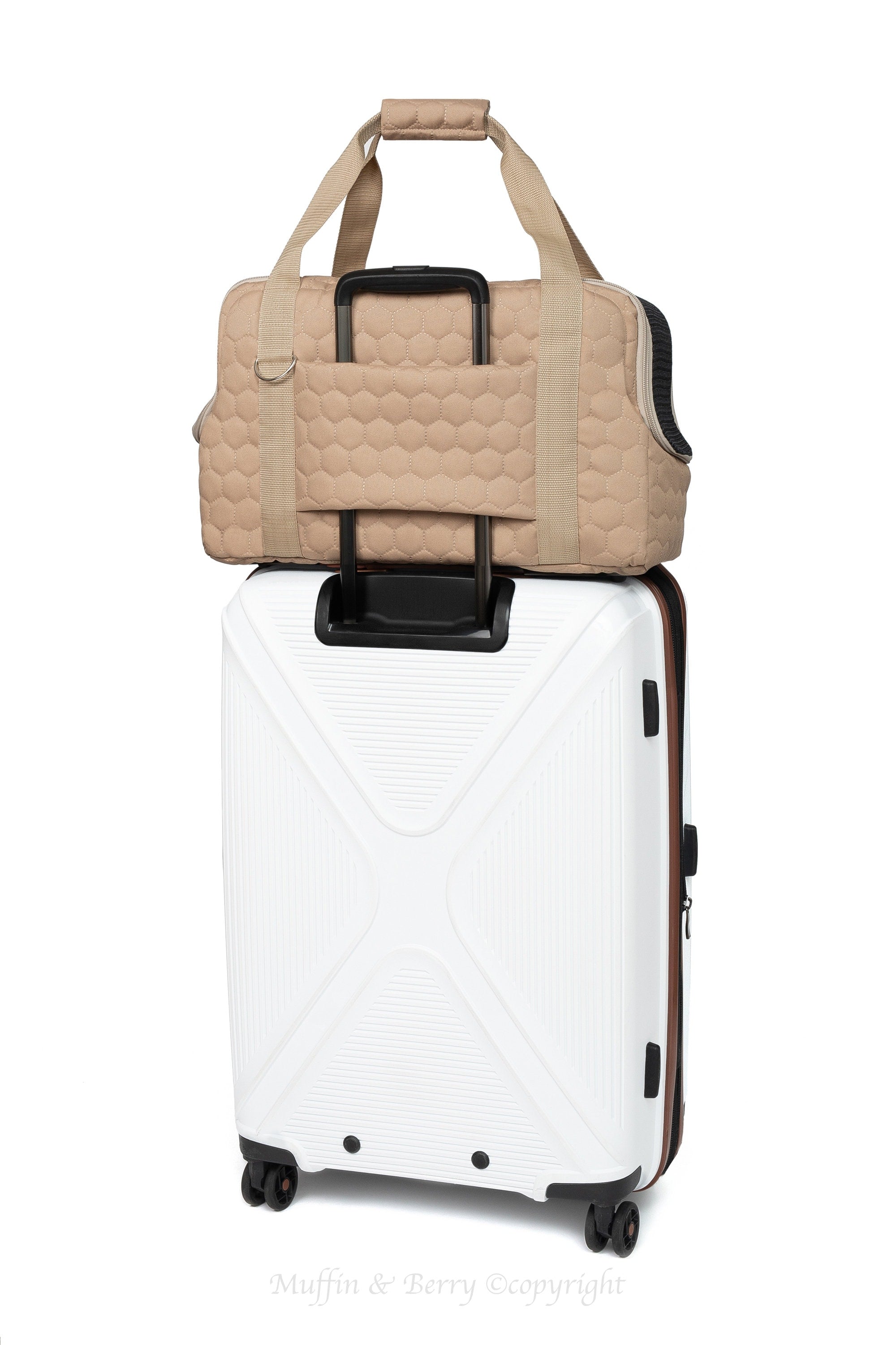 Quilted Travel Pet Carrier
