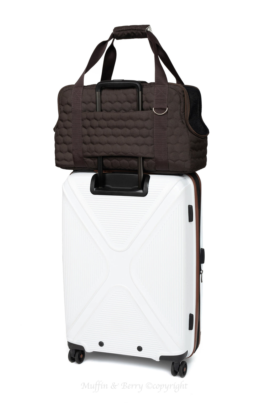 Quilted Travel Pet Carrier