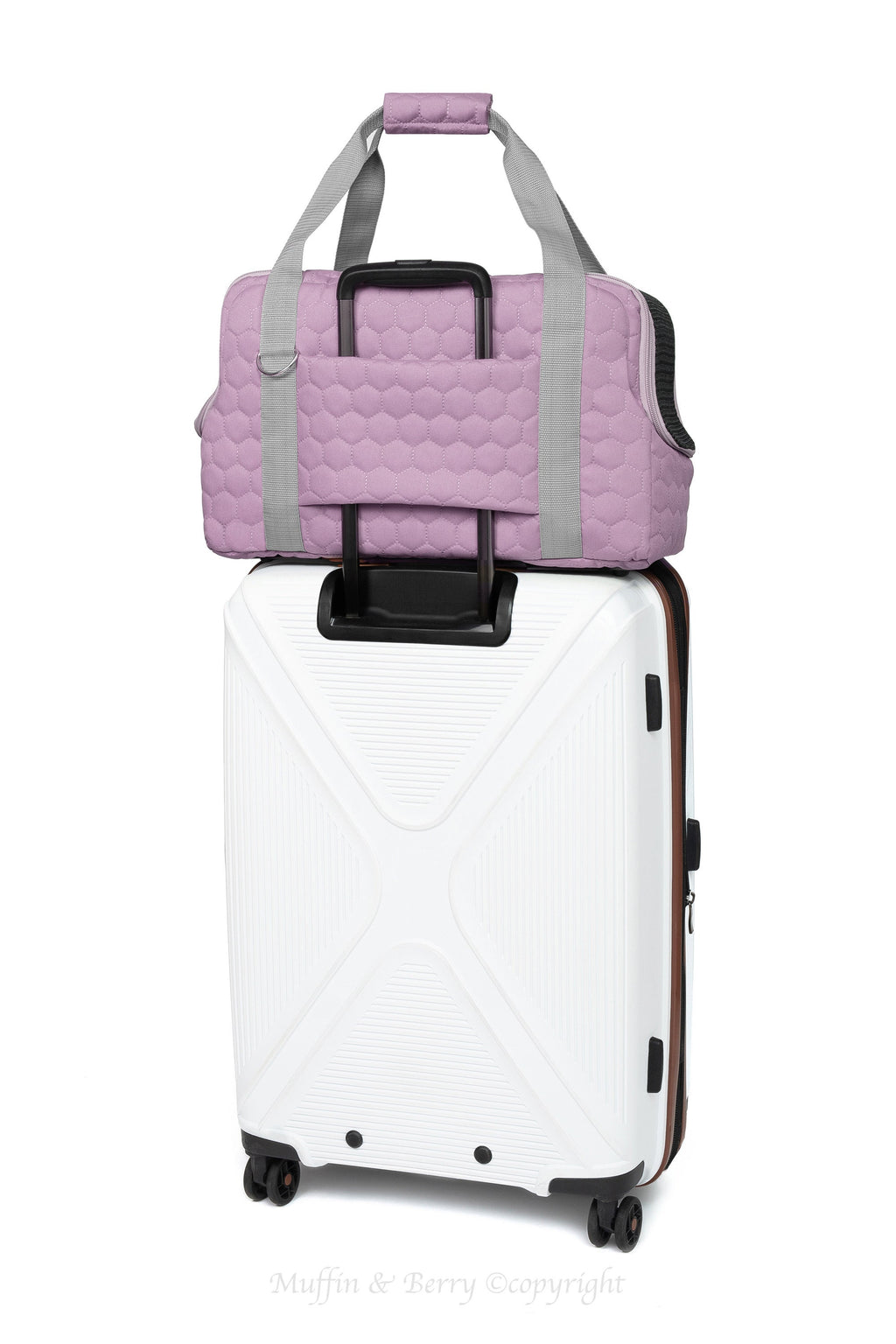 Quilted Travel Pet Carrier