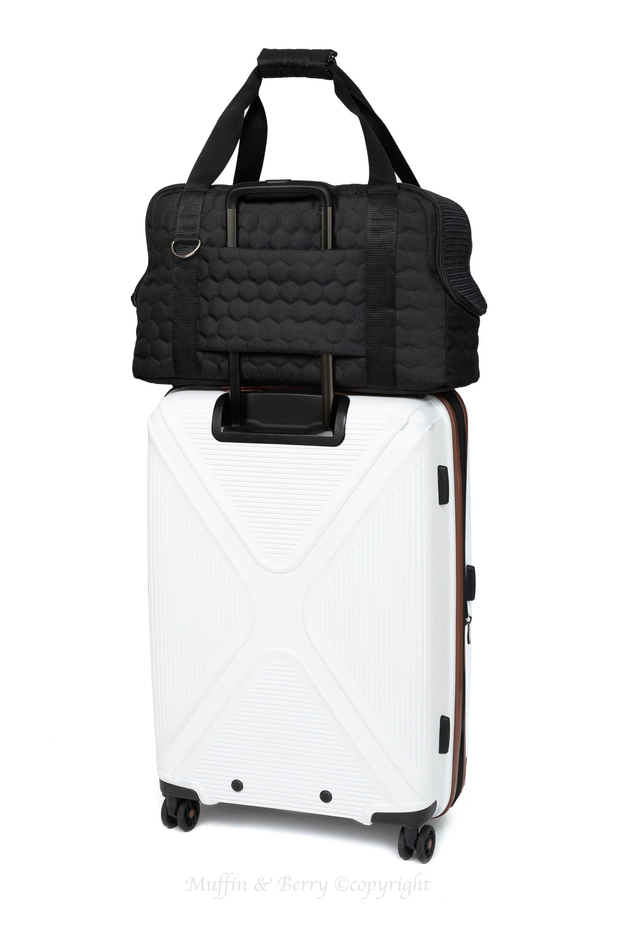 Quilted Travel Pet Carrier