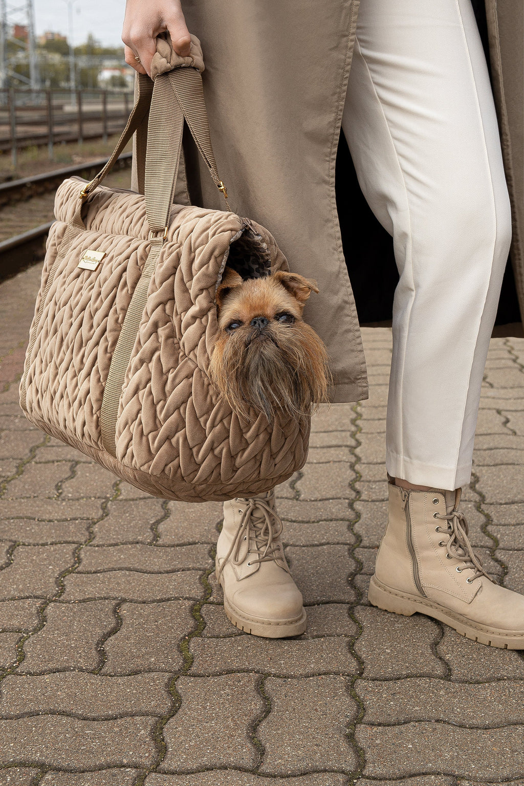 Velour Luxury Pet Carrier