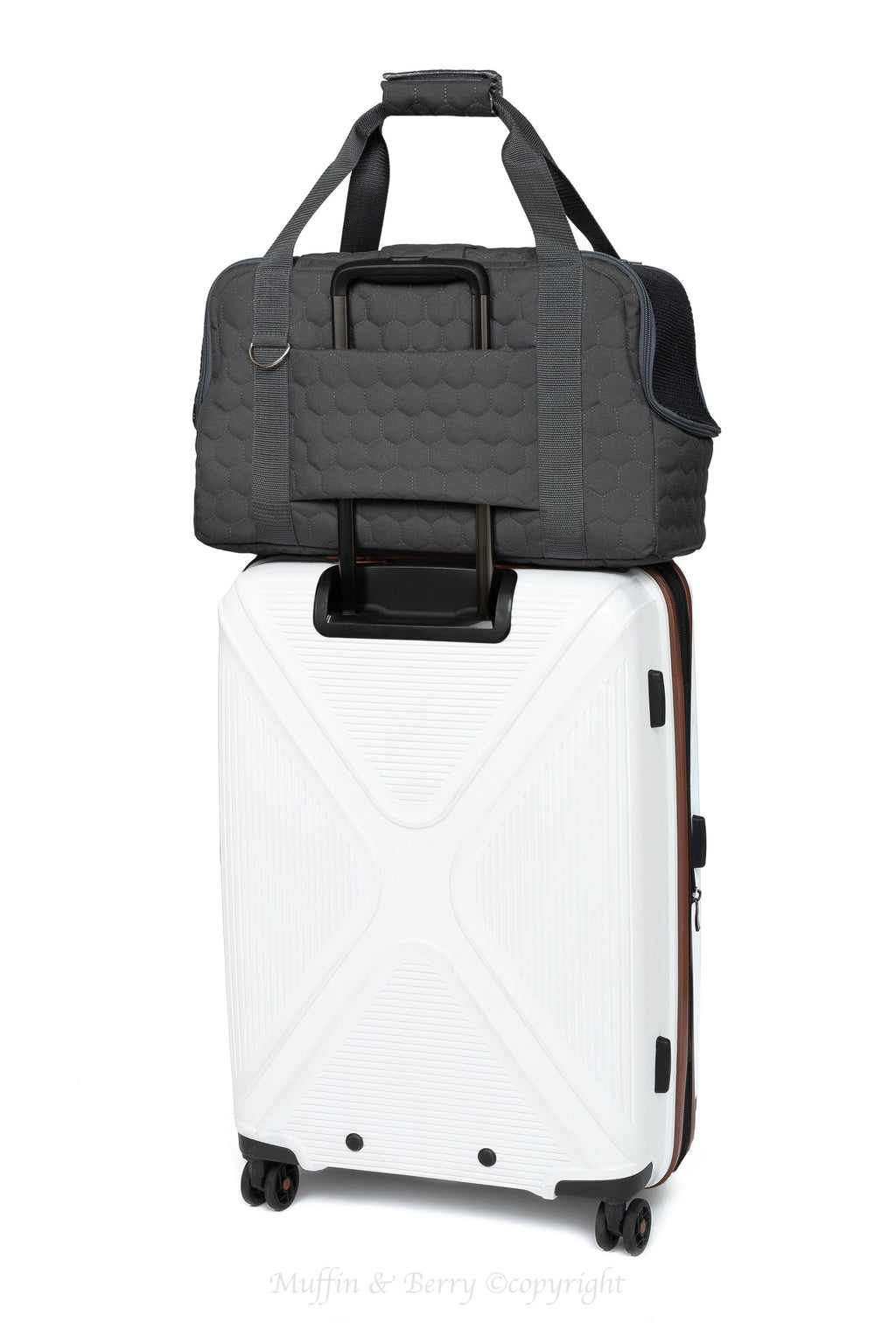 Quilted Travel Pet Carrier
