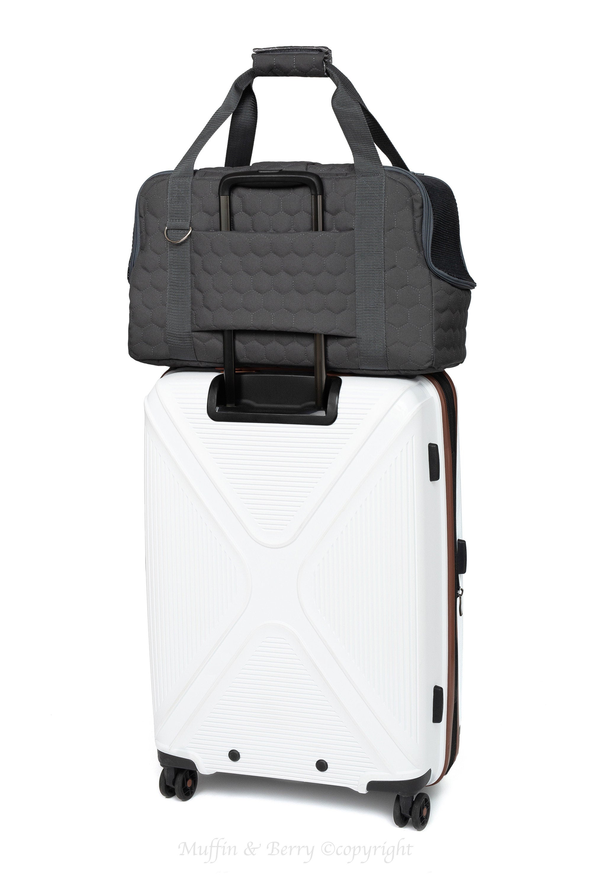 Quilted Travel Pet Carrier