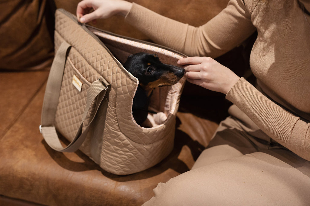 Quilted Luxury Pet Carrier