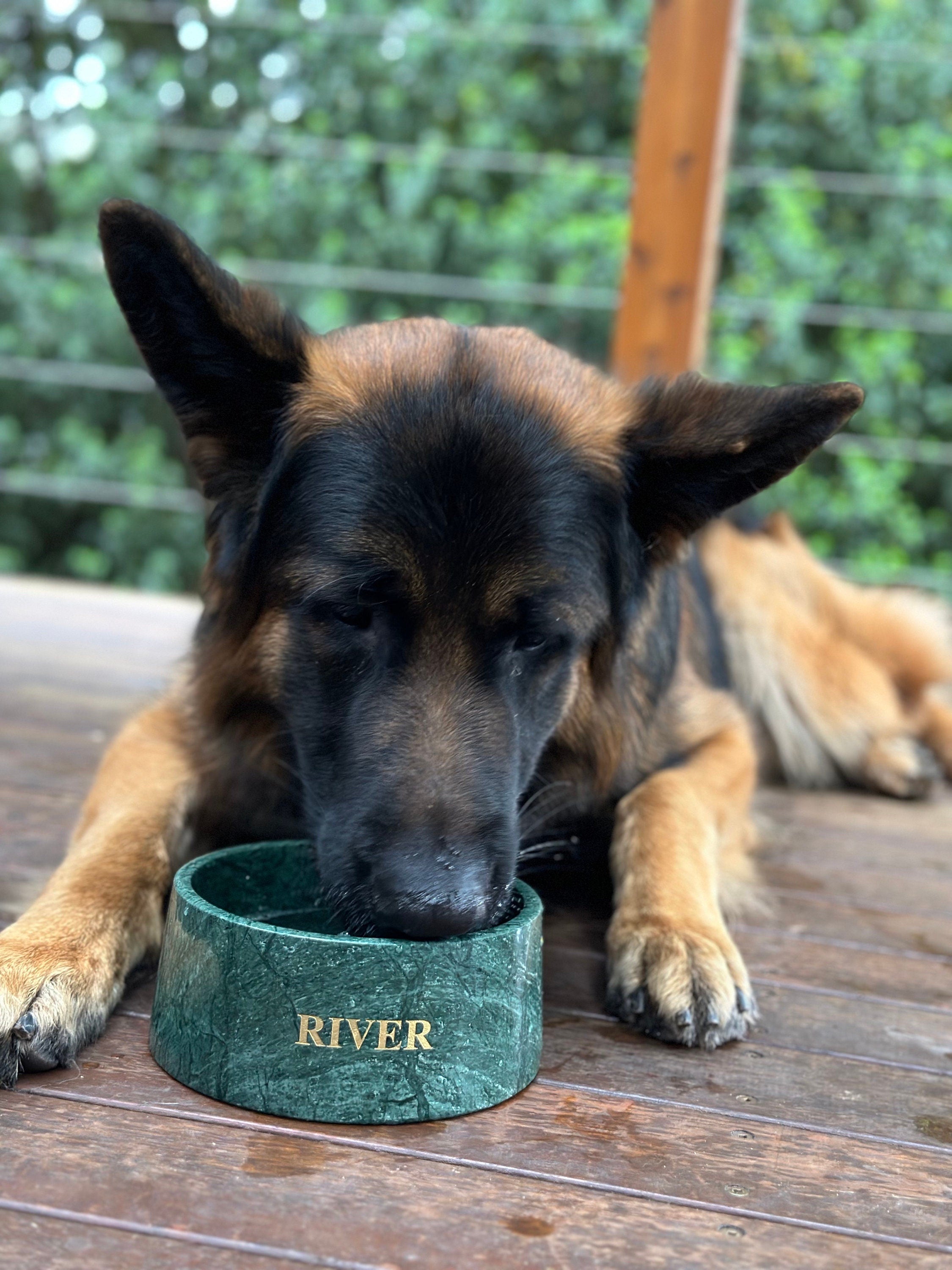 Verde Vivante Indian Green Marble Pet Bowl: Luxury Dog Bowl
