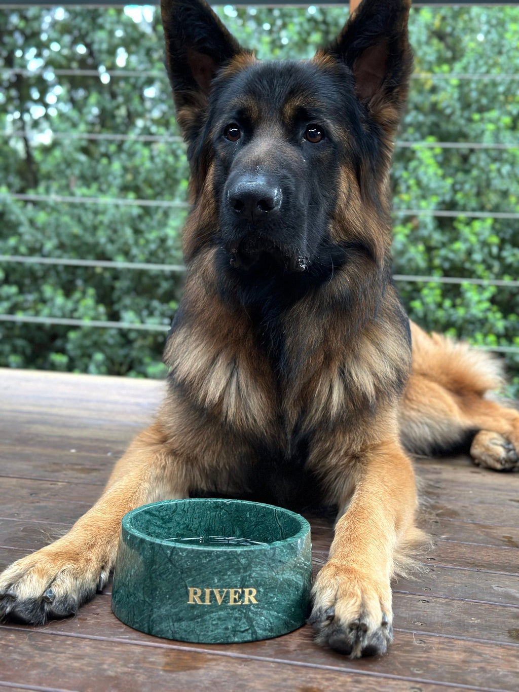 Verde Vivante Indian Green Marble Pet Bowl: Luxury Dog Bowl