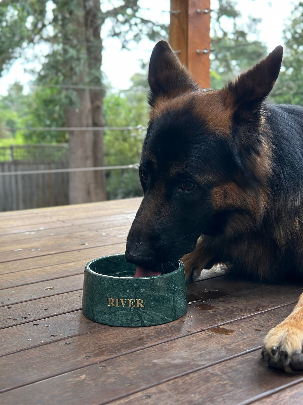Verde Vivante Indian Green Marble Pet Bowl: Luxury Dog Bowl