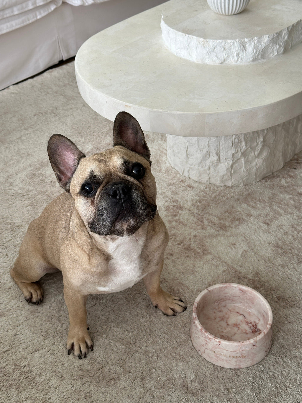 Crema Di Rose Marble Pet Bowl: Luxury Dog Bowl