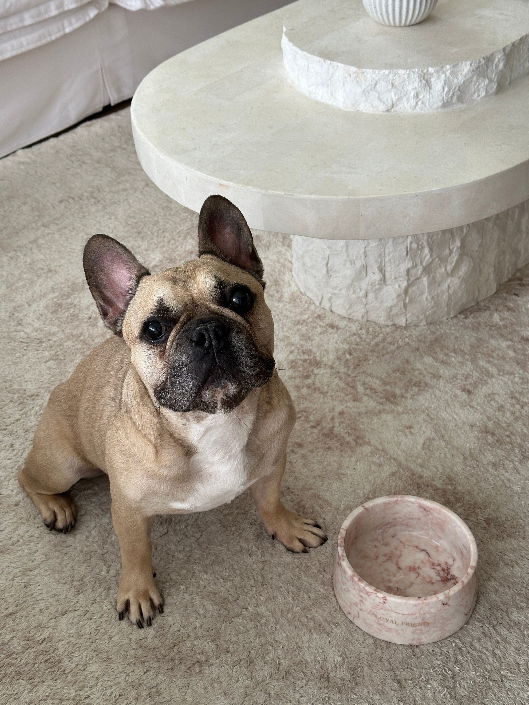 Crema Di Rose Marble Pet Bowl: Luxury Dog Bowl
