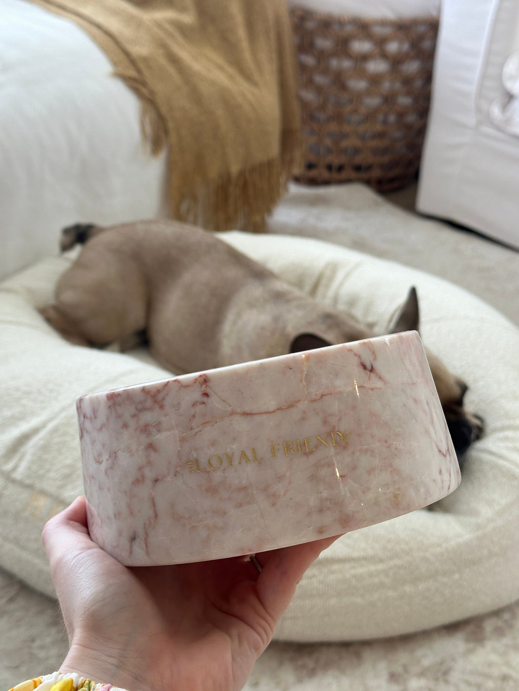 Crema Di Rose Marble Pet Bowl: Luxury Dog Bowl