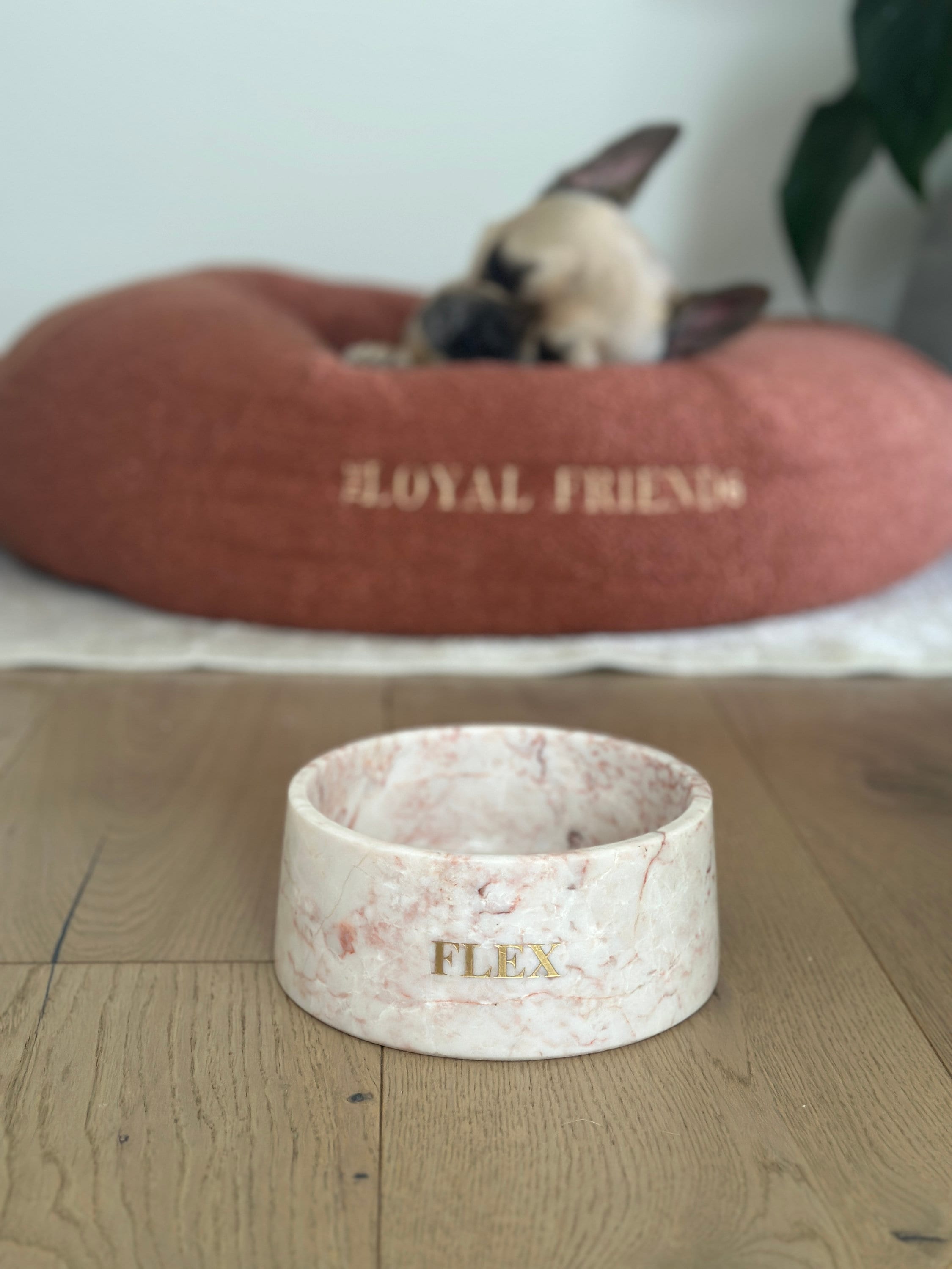 Crema Di Rose Marble Pet Bowl: Luxury Dog Bowl
