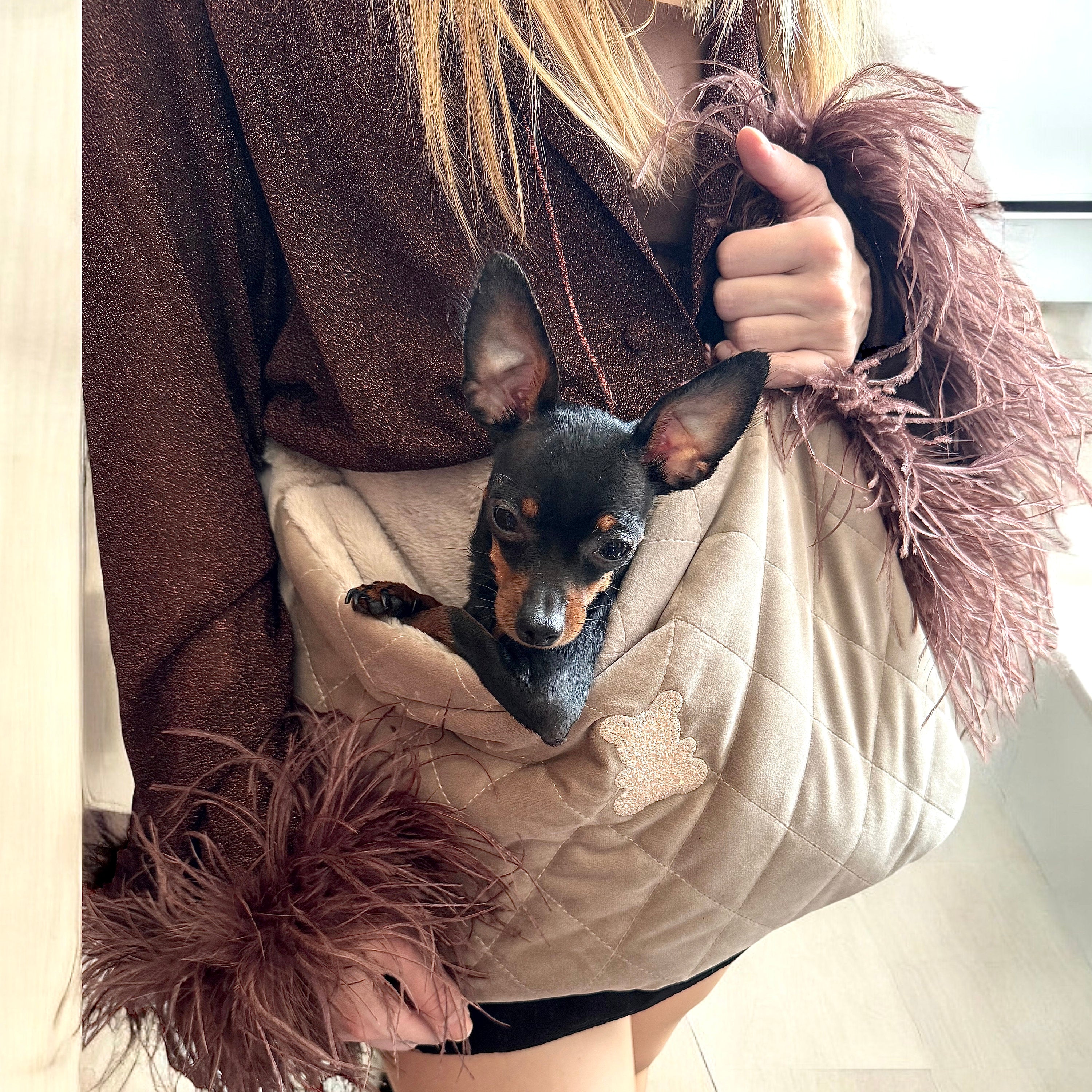 Luxury Beige Velvet Pet Carrier
