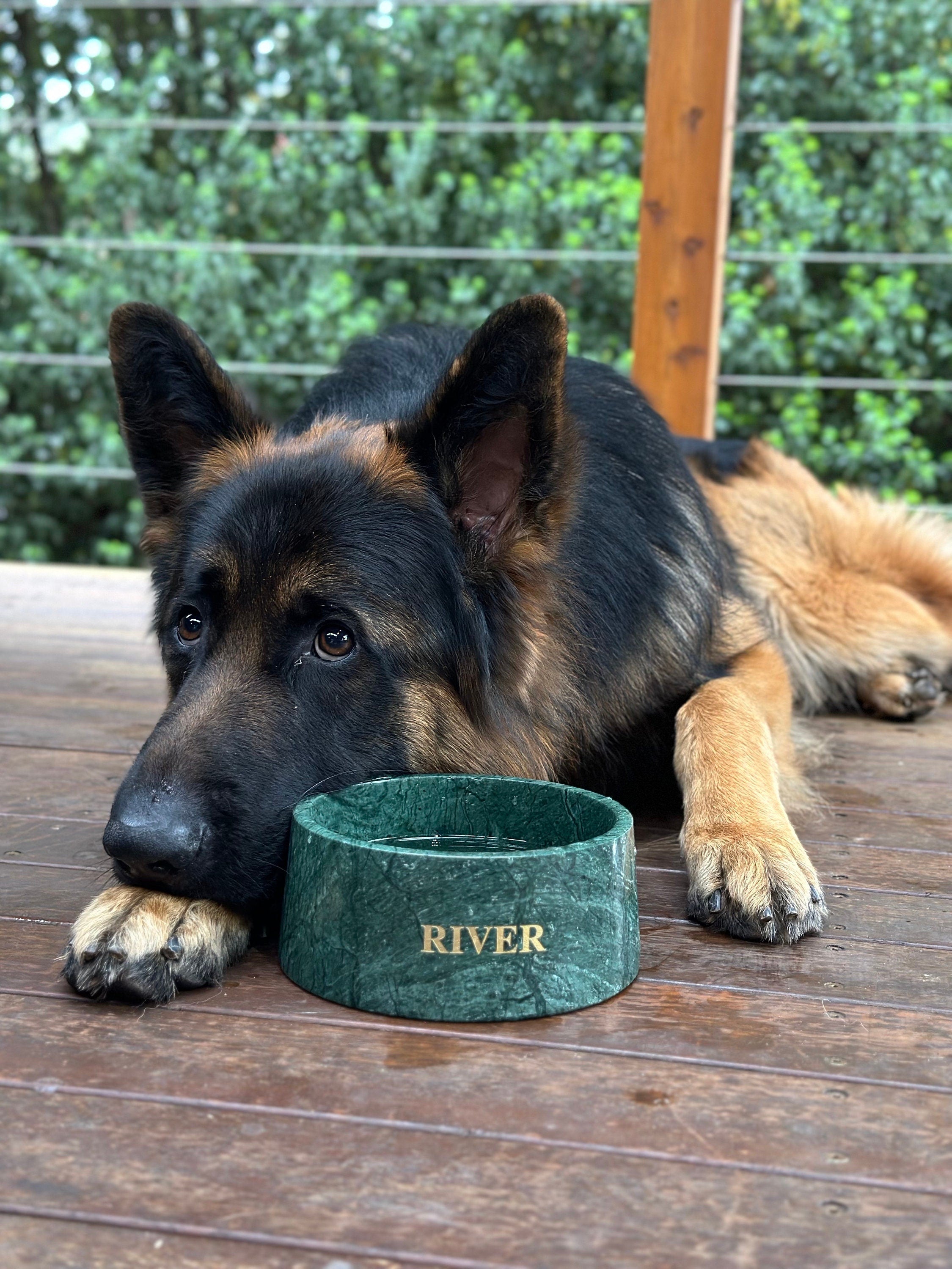 Verde Vivante Indian Green Marble Pet Bowl: Luxury Dog Bowl