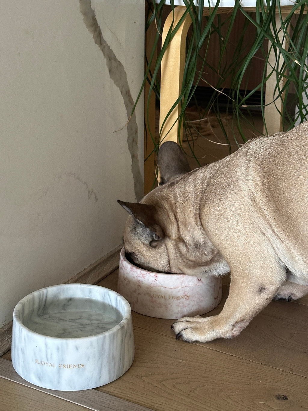 Crema Di Rose Marble Pet Bowl: Luxury Dog Bowl