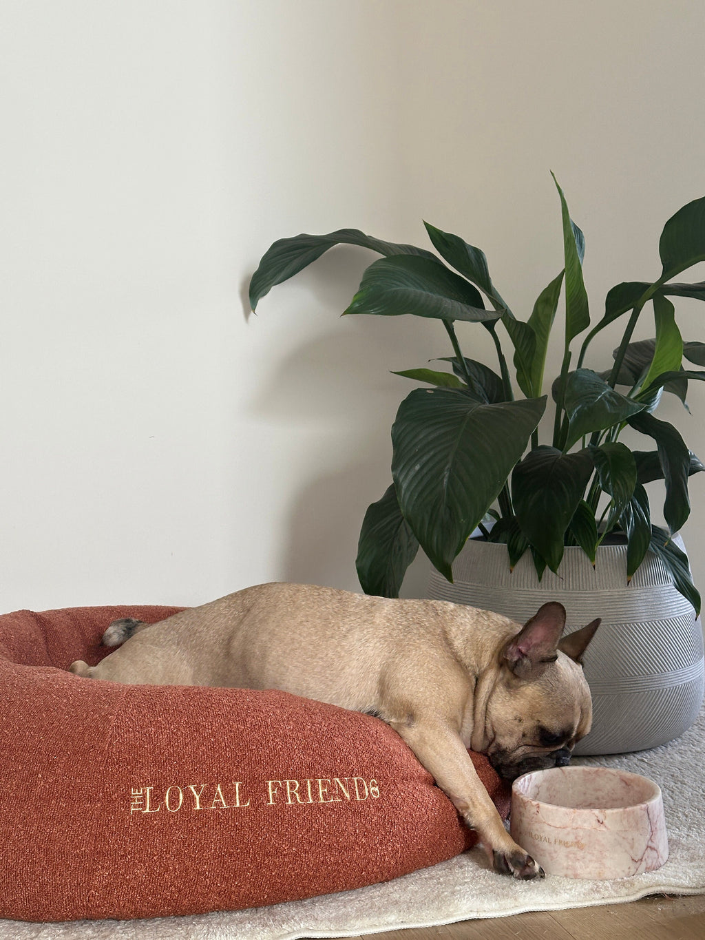 Crema Di Rose Marble Pet Bowl: Luxury Dog Bowl