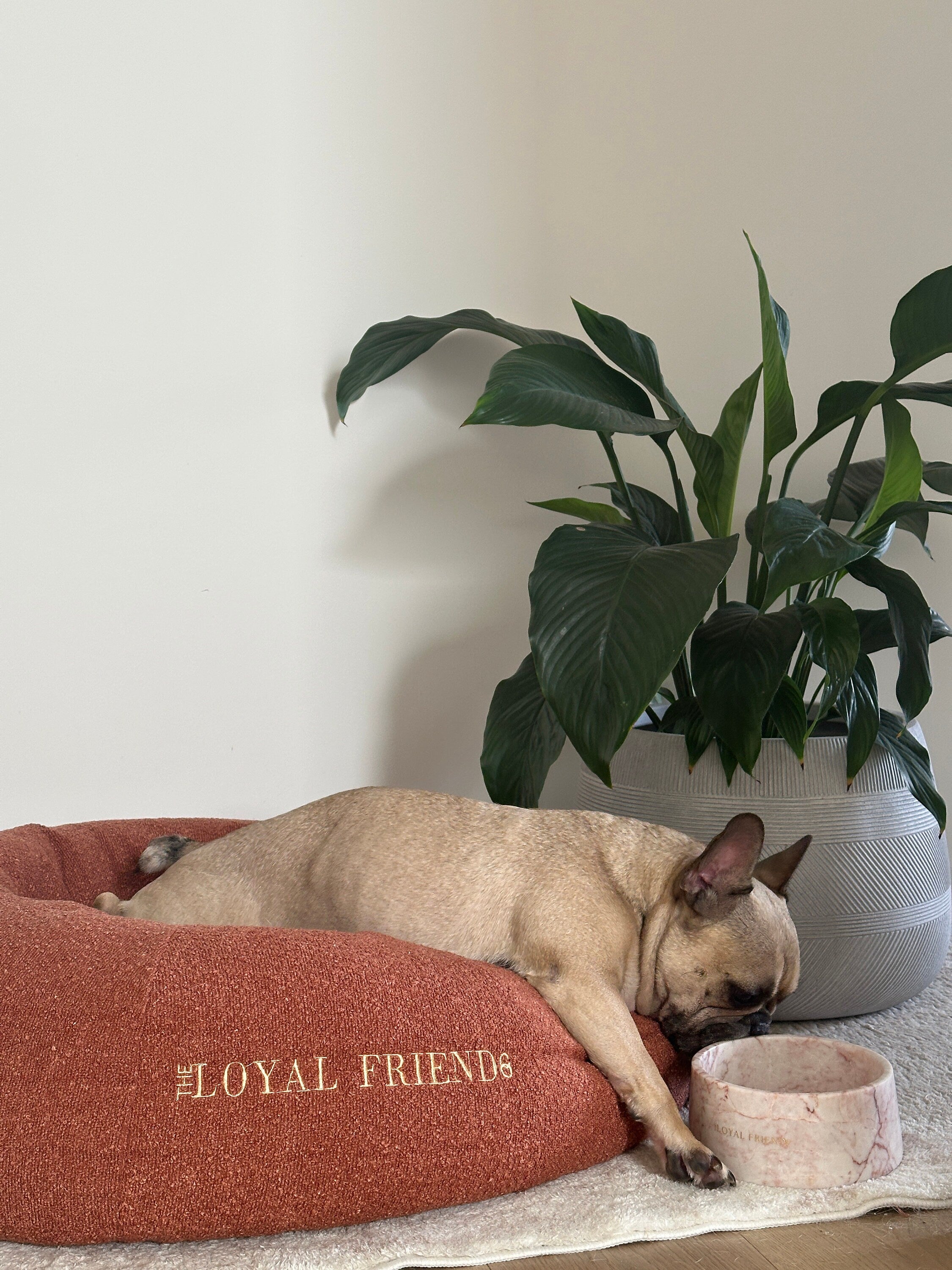 Crema Di Rose Marble Pet Bowl: Luxury Dog Bowl