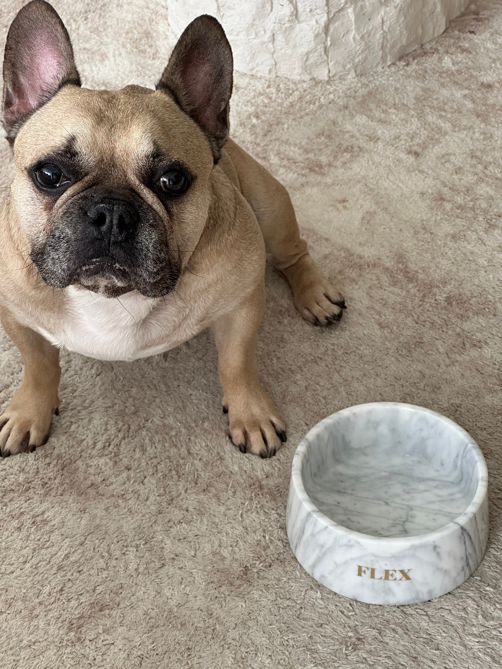 Corchia Perlato Marble Pet Bowl: Luxury Dog Bowl