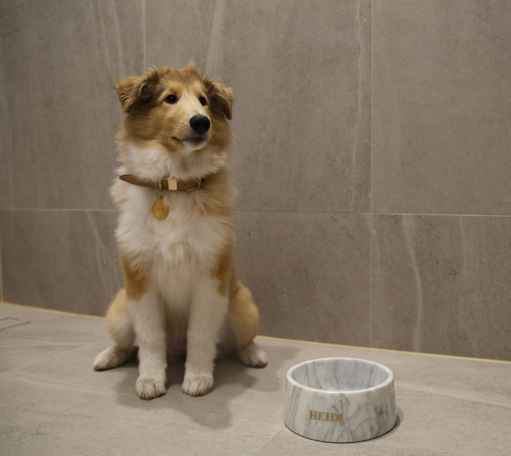 Corchia Perlato Marble Pet Bowl: Luxury Dog Bowl