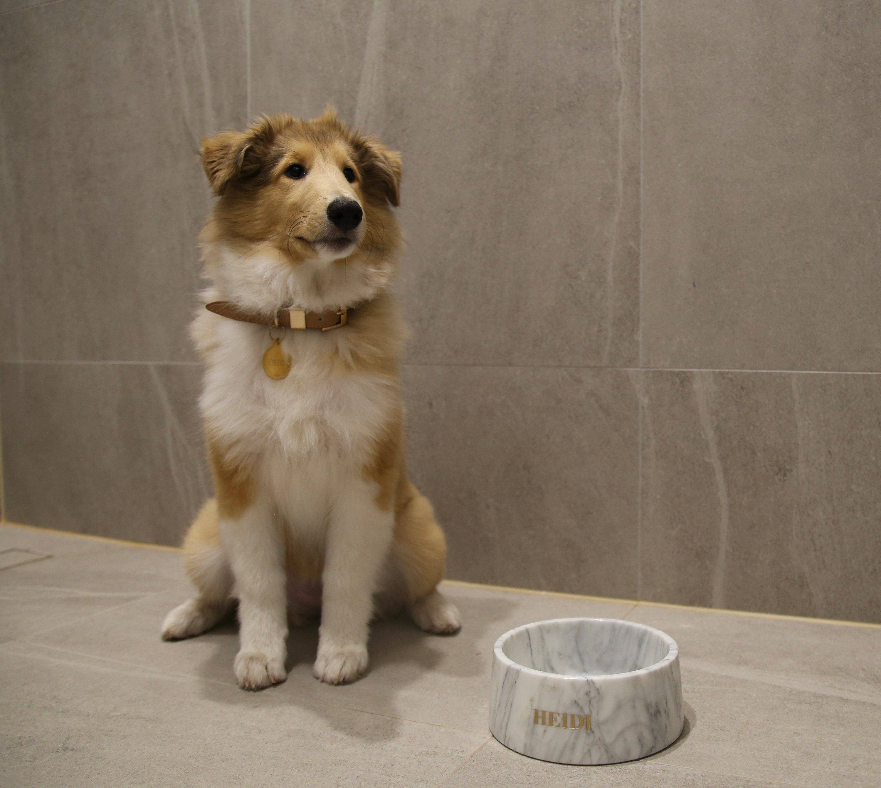 Corchia Perlato Marble Pet Bowl: Luxury Dog Bowl