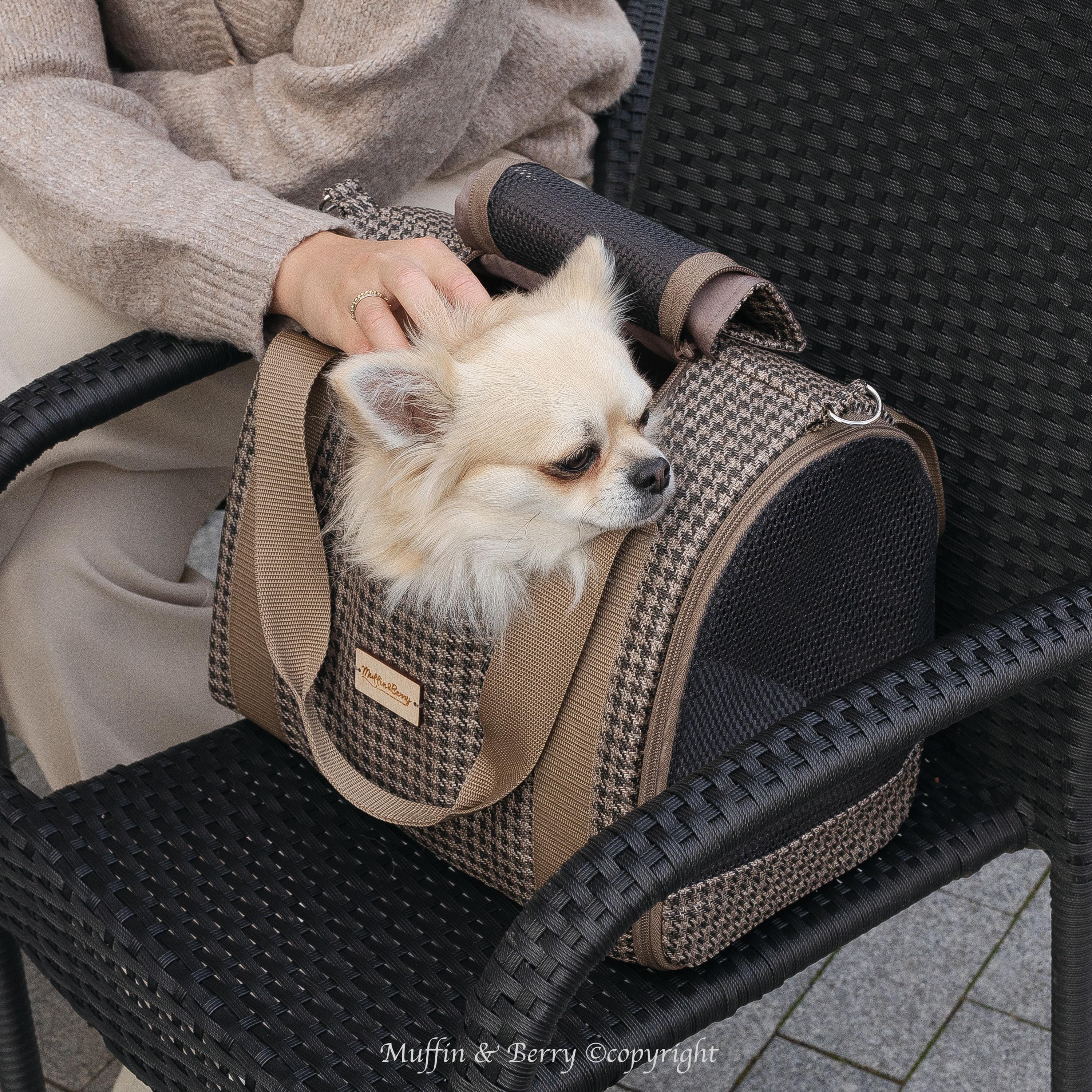 Enclosed Travel Pet Carrier