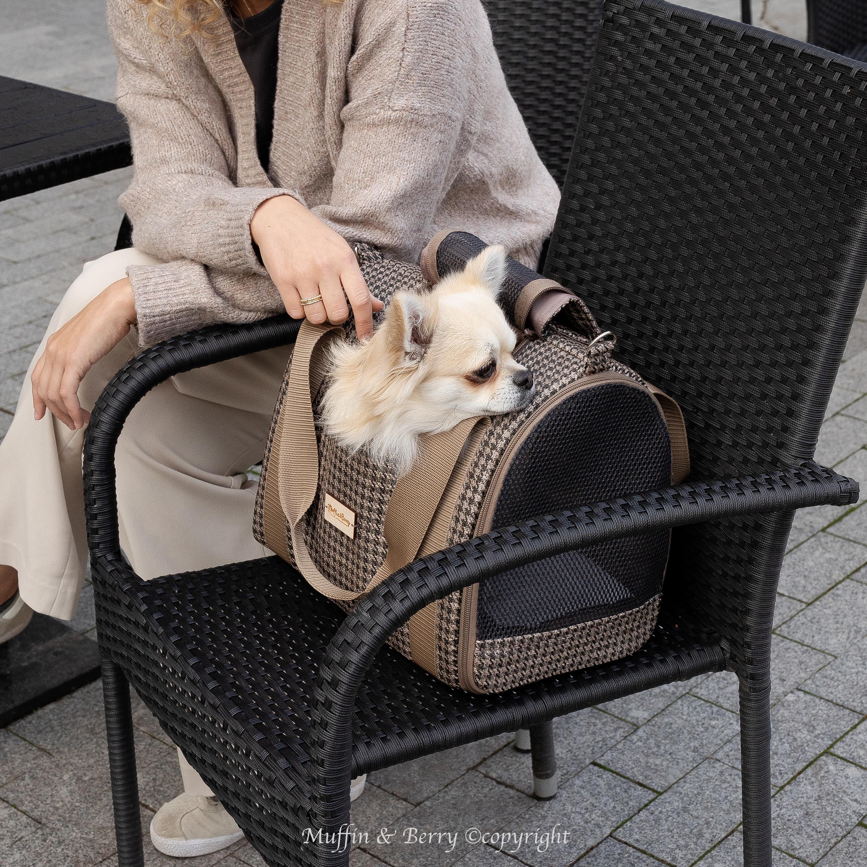 Enclosed Travel Pet Carrier