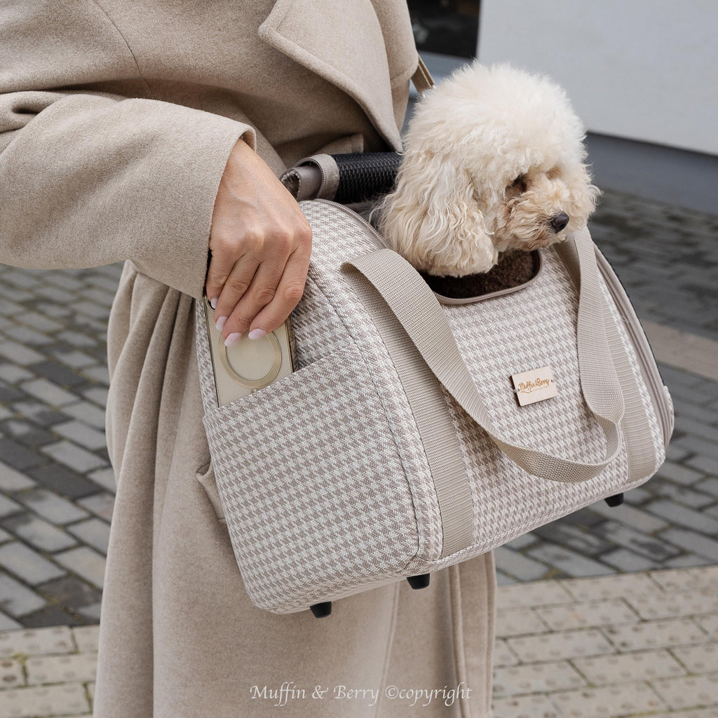Enclosed Travel Pet Carrier 